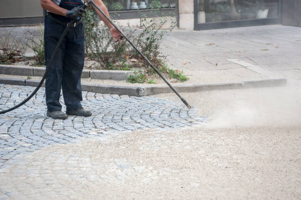 Best Gutter Cleaning  in Craigsville, WV
